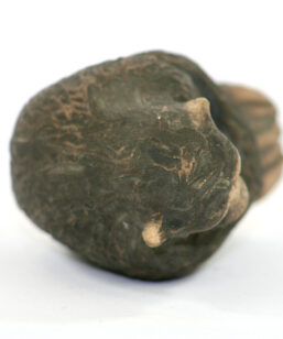 Apa – Tilgmans keramik chimpans figurin ovan